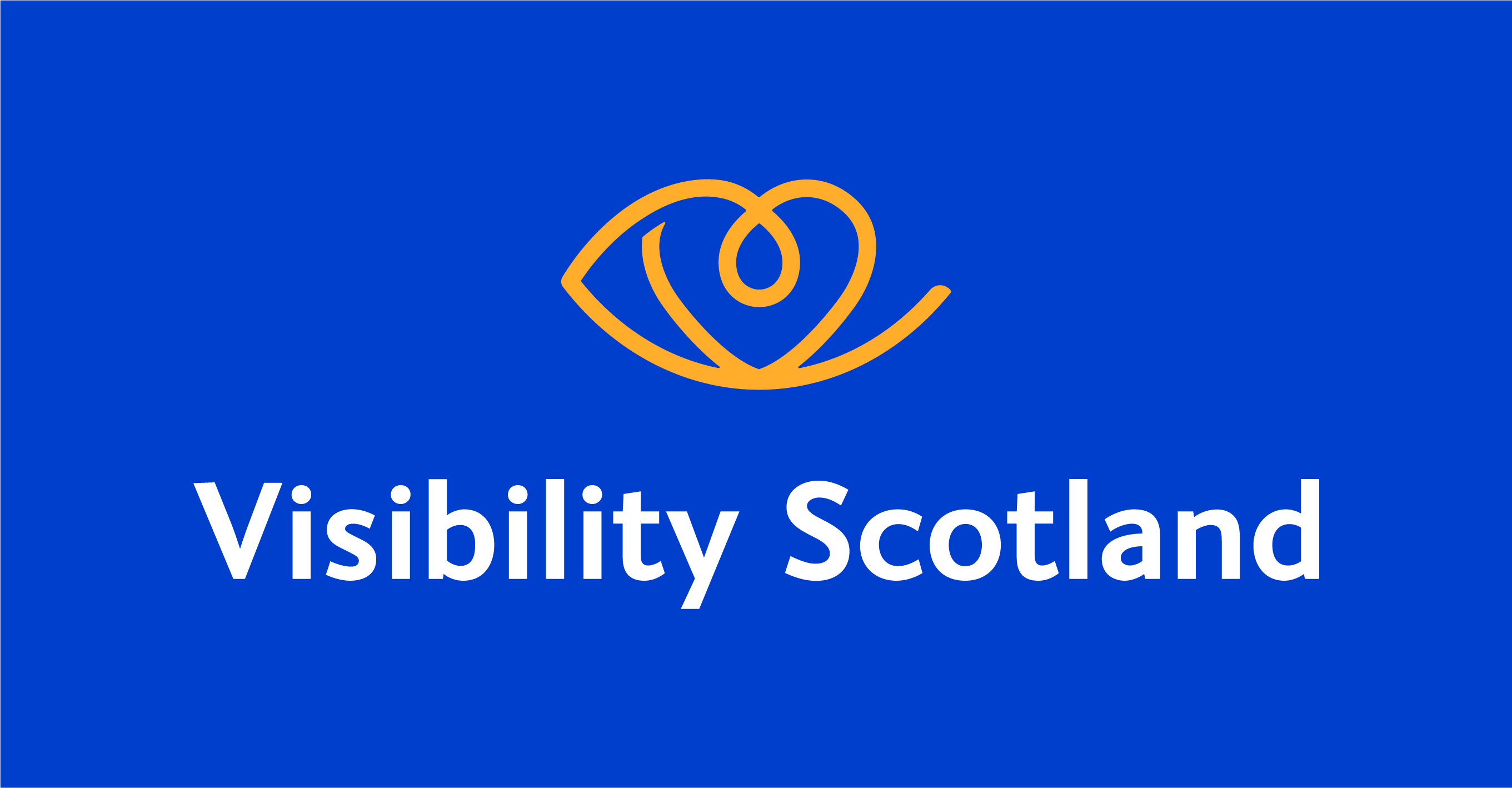 Visibility Scotland - Listening and responding to people affected by sight  loss across Scotland