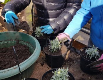 People planting potted plants.